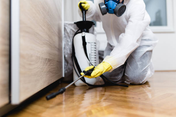Professional Pest Control in Lakeside, FL