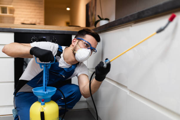 Best Best Pest Control Companies  in Lakeside, FL