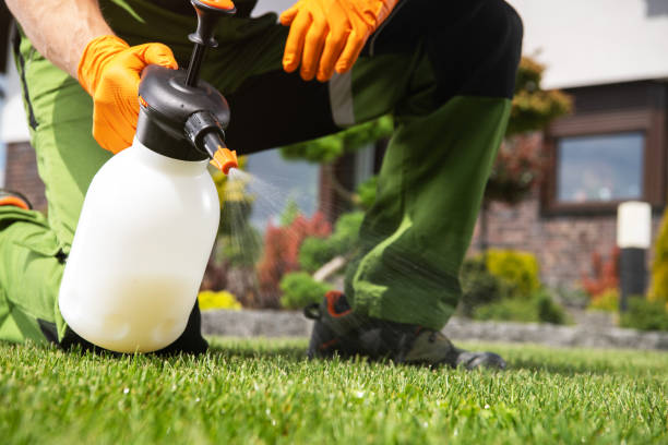 Best Pest Removal Services  in Lakeside, FL