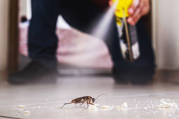 Best Cockroach Control Services  in Lakeside, FL